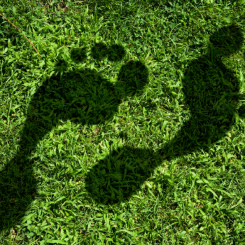 Shadow Of Footprint on Grass To Represent Carbon Footprint