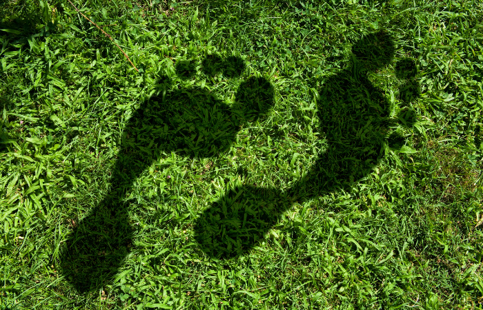 Shadow Of Footprint on Grass To Represent Carbon Footprint